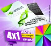 2500 Panfl. - 200x290 - 4x1 - 90g/ m²